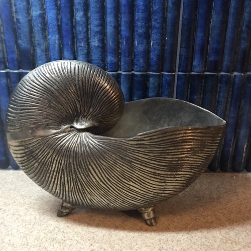 Vintage nautilus shell - nautilus,