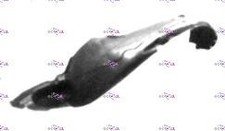 RIPARO PARASASSI PASSARUOTA