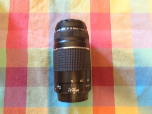Teleobiettivo canon - canon, ef
