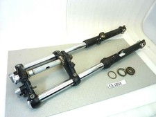 Forcella anteriore Ceriani