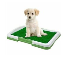 Lettiera cani gatti - wc,