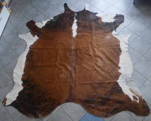 Alto gigantesco mucca pelle - alto:,