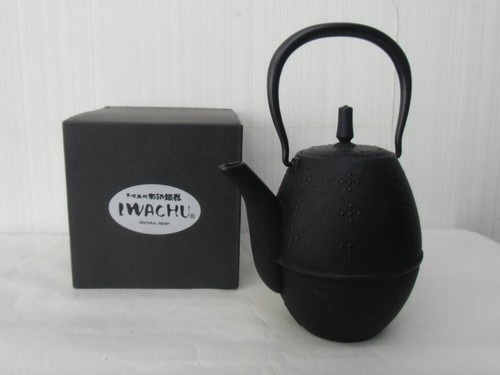 Teiera kyusu giapponese iwachu - teiera,