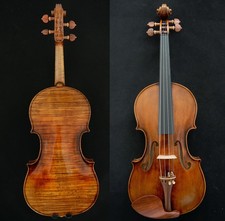 Guarneri Violino Maestro
