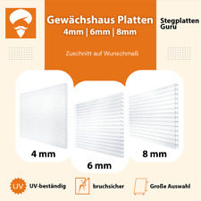 Piastre per serra 4 6 8 mm piastre a doppio ponte piastre a camera cava