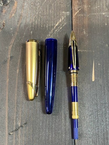 Penna stilografica waterman - penna,