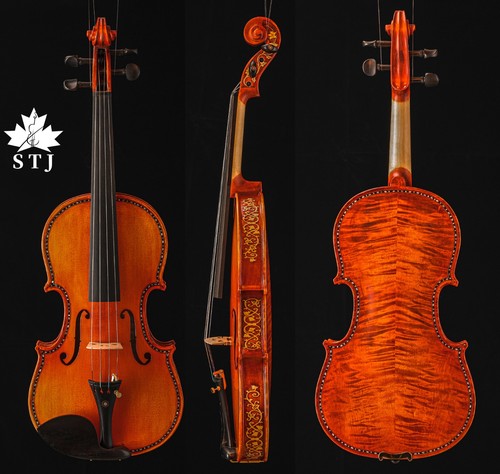 Song maestro violino con - violino,