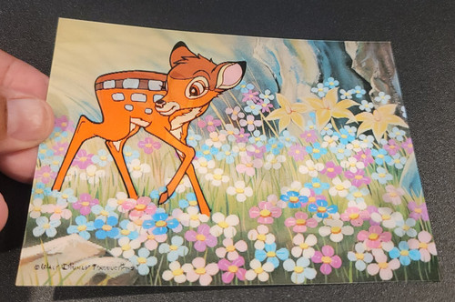 Bambi and skunk flower - and, c1982