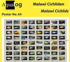 AQUALOG, Poster pieghevole -