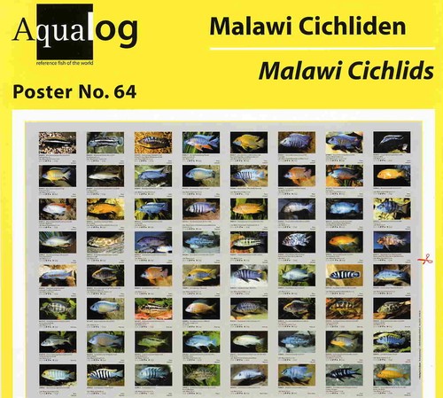 Aqualog poster pieghevole - aqualog,,