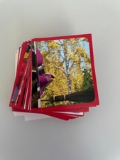 Figurine Masha e Orso DIRAMIX