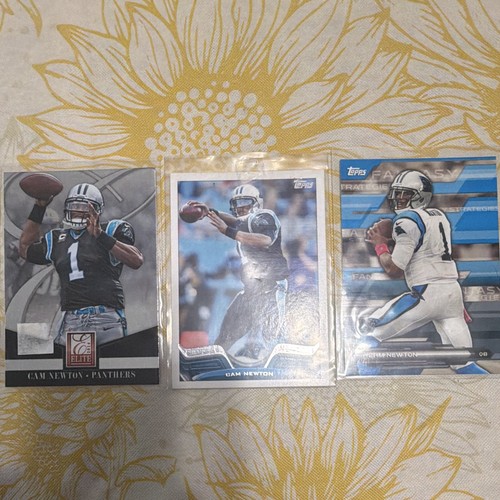 Panini 2014 cam - 2014,
