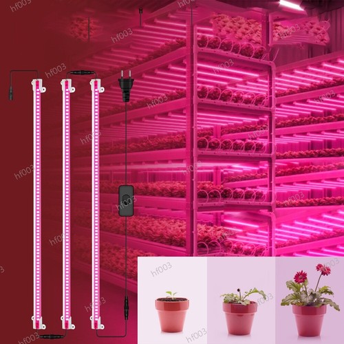 Piante spettro completo - , led