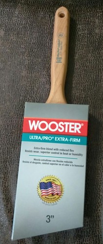 Lotto pennelli wooster - di,