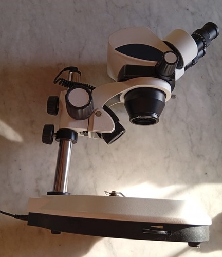 stereomicroscopio