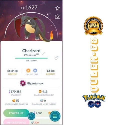 Pokémon shiny charizard - -,