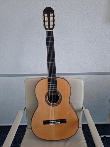 Chitarra concerto - chitarra, da