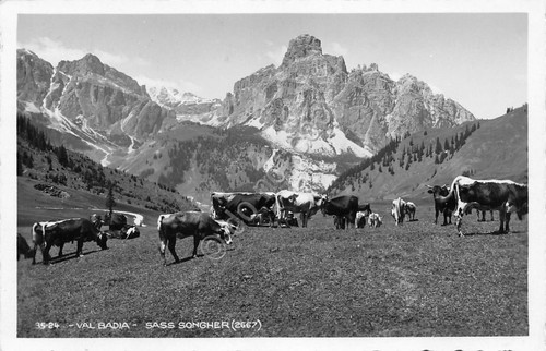 Cartolina val badia - cartolina,