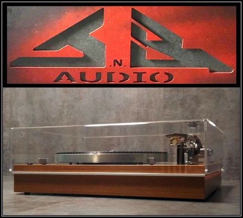 Copripolvere giradischi audio