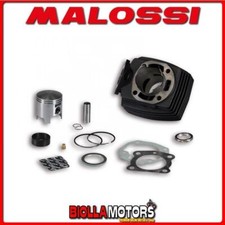 318384 CILINDRO MALOSSI 65CC