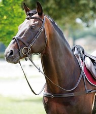 Pettorale inglese in cuoio con