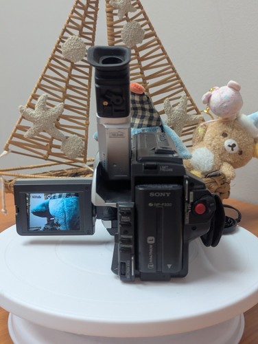 Sony handycam dcr trv120 - sony,