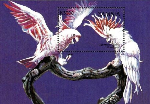 Zambia 1998 cacatua - -,