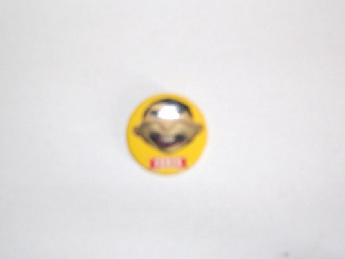 Spilla brooch pins - -, birra