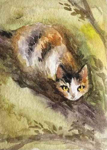 Aceo 100 dipinto - a, mano