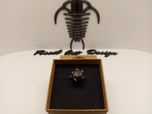 Fossil wood anello art - fossil, art.1
