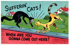 Gatti Sofferenti Quando Verrai