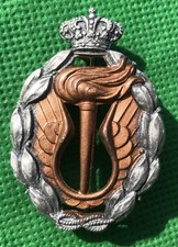 Distintivo regia aeronautica