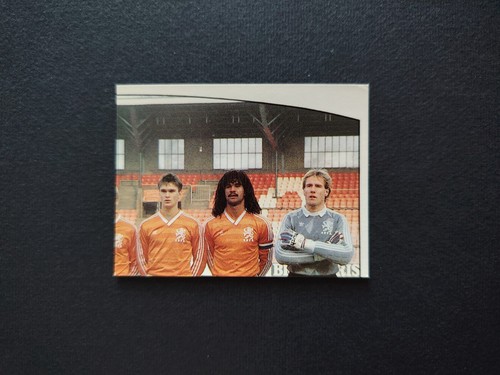 Panini euro 1988 - panini,