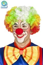 PARRUCCA CLOWN ADULTO Colorata