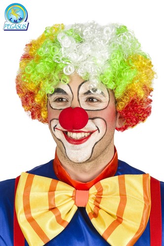 Parrucca clown adulto colorata - parrucca,