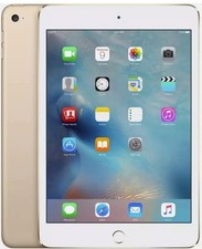 Apple iPad Mini 4 7,9 Pollici