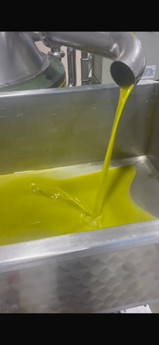 Olio extravergine oliva - olio,