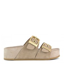 COLORS OF CALIFORNIA