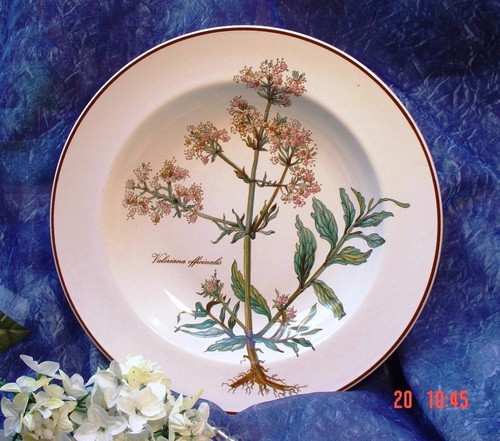 Villeroy boch botanica 1 - boch,