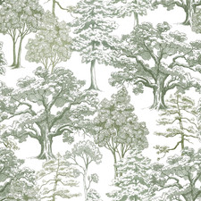 Carta Da Parati Autoadesiva