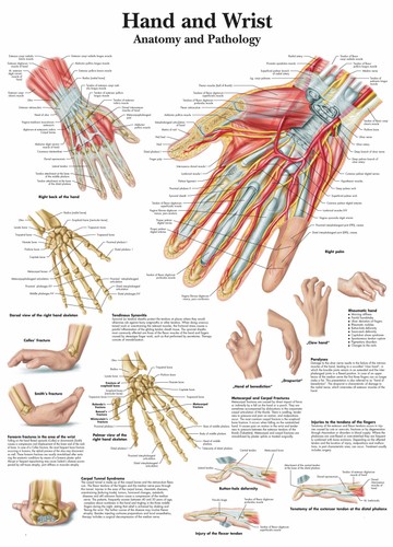 Poster stampe mani polsi - poster, e