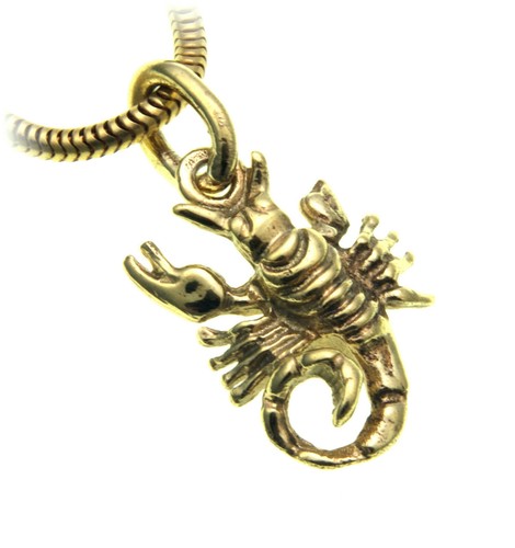 Ciondolo segno zodiacale - ciondolo,