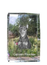 Pinscher tedesco cristallo con