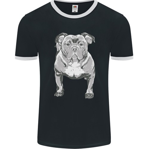 American bully posizione - american,