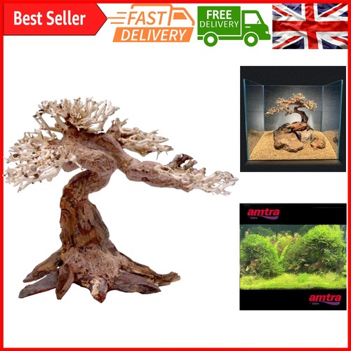 Decorazione legno per - in,
