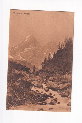 D3115 cartolina tribulaun - d3115),