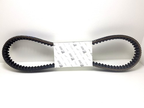 Cinghia trasmissione originale - cinghia,