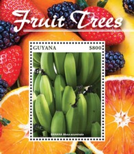 Guyana 2015 alberi da frutto - -,