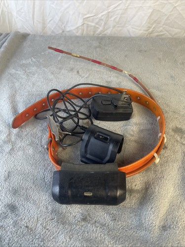 Garmin dc40 collare - garmin,