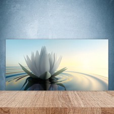 Paraschizzi Retrofornelli